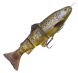 SG 4D Line Thru Trout - Brown trout