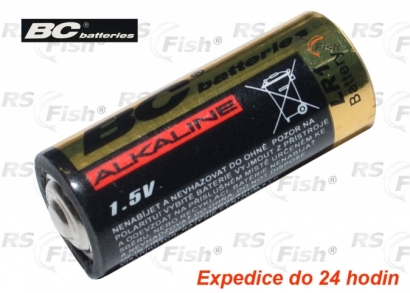 Batterie LR1