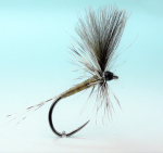 Fliege RS Fish Dry SM18